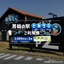 【ふるさと納税】 房総の駅とみうらご利用券 1000円分×3枚 mi0069-0001 千葉県 南房総市 旅行 土産 鮮魚 特産品 食事 寿司 ラーメン 海鮮丼 貝 食べ放題 チケット 漁港直結 ドライブスポット グルメ ショッピング 送料無料