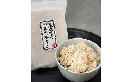 無添加 災害備蓄食 玄米ごはん4種 75食セット  天然由来の原材料のみ使用、保存料・着色料無添加 兵庫県 洲本市 淡路島