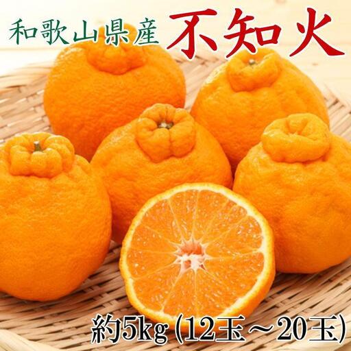 和歌山県産不知火約5kg（12玉～20玉おまかせ）2L～5Lサイズ★2027年2月下旬頃より順次発送［TM131］