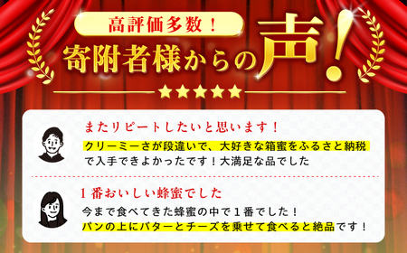 箱はちみつ 国産  400g 12月-3月限定発送 蜂蜜 はちみつ [AFAI011-CP]