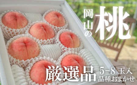 【きよとうファーム】厳選品 旬の桃（品種おまかせ） 5-8玉入 (岡山県産)【KF-A015-01】