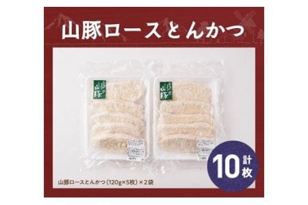 パン粉付きで揚げるだけ！きじょん山豚 ロースとんかつ 10枚 (1個120ｇ)【肉 豚肉惣菜 加工品 惣菜 宮崎県産惣菜 ブランド豚 おかず 豚カツ トンカツ 簡単調理 たっぷり 豚肉惣菜】