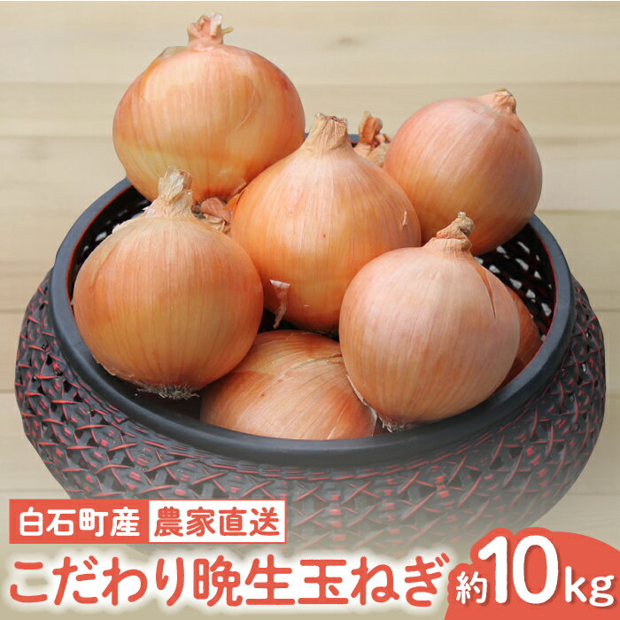 【ふるさと納税】【農家直送！】こだわり 晩生玉ねぎ 約10kg【一ノ瀬農園】 [IBQ009]