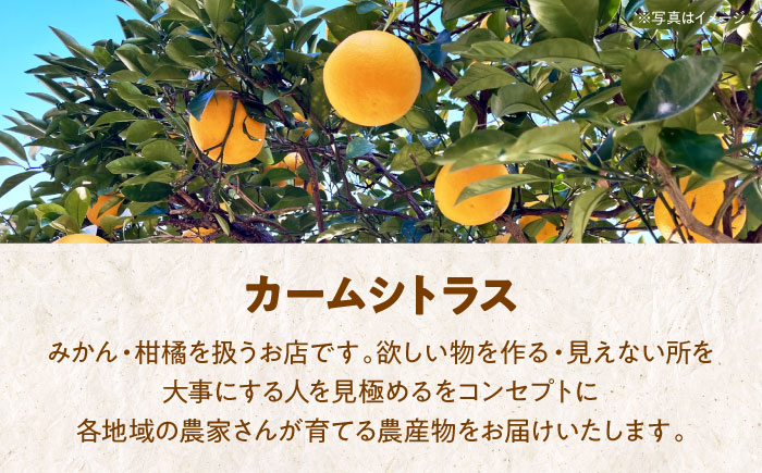 柑橘のおいしさをギュッとお届け！柑橘王国愛媛産温州みかんジュース1L×６本セット　愛媛県大洲市/有限会社カーム/カームシトラス [AGBW006]みかん オレンジ フルーツ ミカン 果物 愛媛みかん 