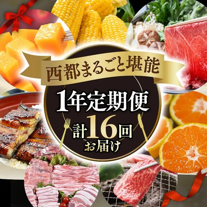 【季節の定期便E】12ヶ月毎月届く 西都まるごと堪能セット16品お届け！【プラチナコース】マンゴー 宮崎牛 うなぎ 牛肉 すき焼き 地鶏 鍋等＜1-5a＞