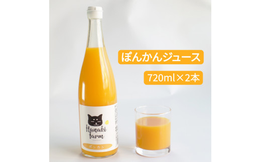 
果汁100％ ぽんかんジュース 720ml×2本 ポンカン みかん 蜜柑 果物 柑橘 フルーツ ゼリー ジュース 果汁 愛媛 愛南町 はなき農園
