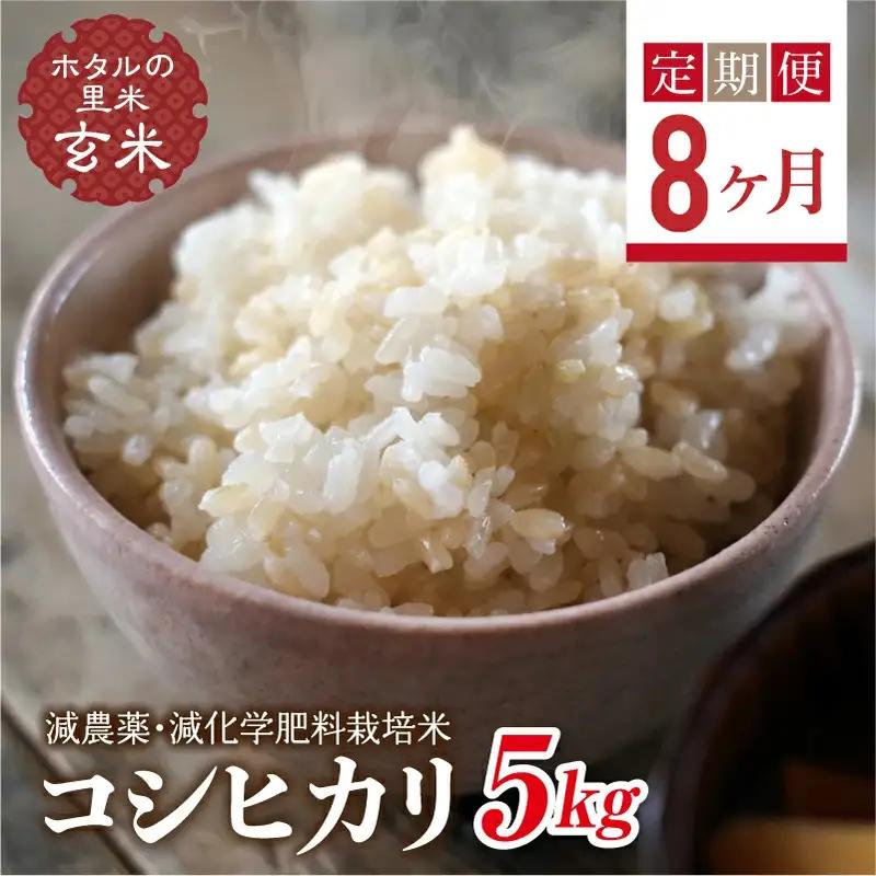  ＜定期便8ヶ月＞【ホタルの里米】環境に配慮し農薬を減らした栽培米 コシヒカリ玄米5kg  F4D-2286