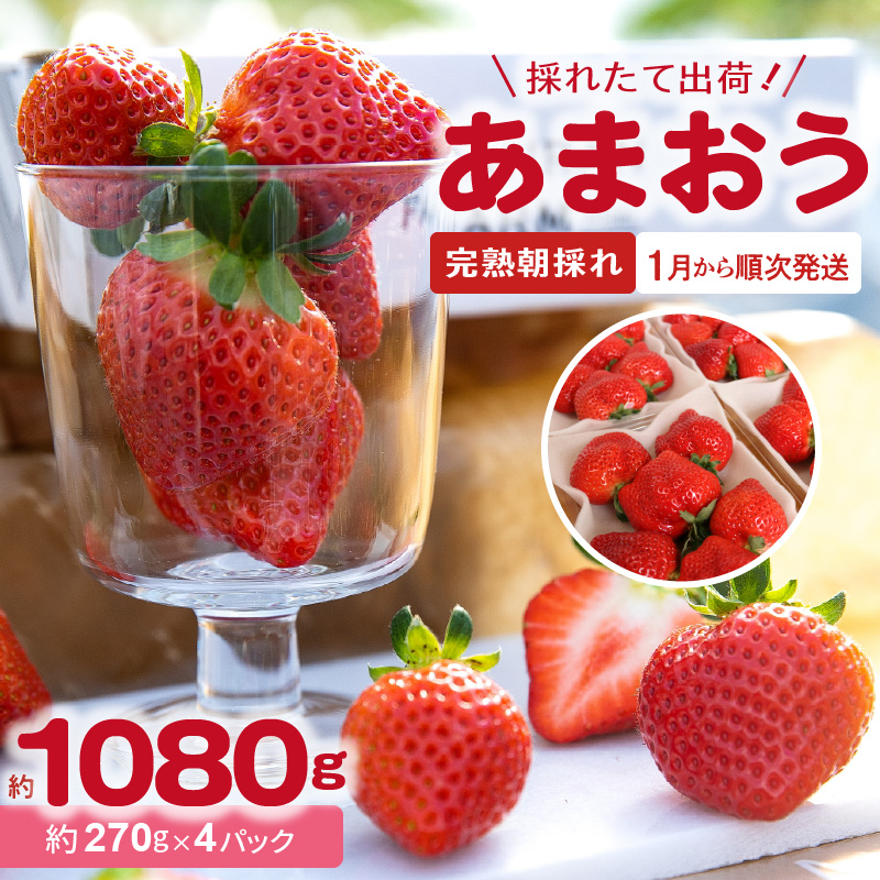 【ふるさと納税】採れたて 出荷 完熟朝採れ いちご あまおう(1月から順次発送) 270g × 4パック 約 1080g ブランドいちご 人気 真っ赤 完熟 爽やか 甘み みずみずしい 果物 フルーツ デザート お取り寄せグルメ 冷蔵 らんらんふぁーむ 福岡県 上毛町産 送料無料