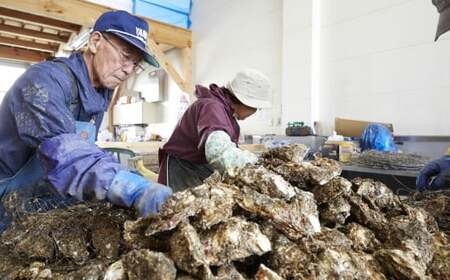 かき小屋広田湾の冷凍むき身牡蠣 500g×4袋 加熱調理用 【 かき カキ 海産物 魚介類 小分け 料理 カキフライ 鍋 】 RT2874