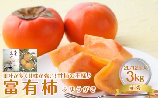 748.【先行予約】【ＪＡ】　富有柿　赤秀2Ｌ 3kg箱（12玉）※着日指定不可　※離島への配送不可　※2026年11月初旬頃～11月下旬頃に順次発送予定【柿 かき 大容量 果物 鳥取県 北栄町 おすすめ 人気】