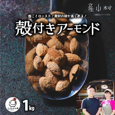 ふるさと納税 産山村 殻付きアーモンド　500g×2