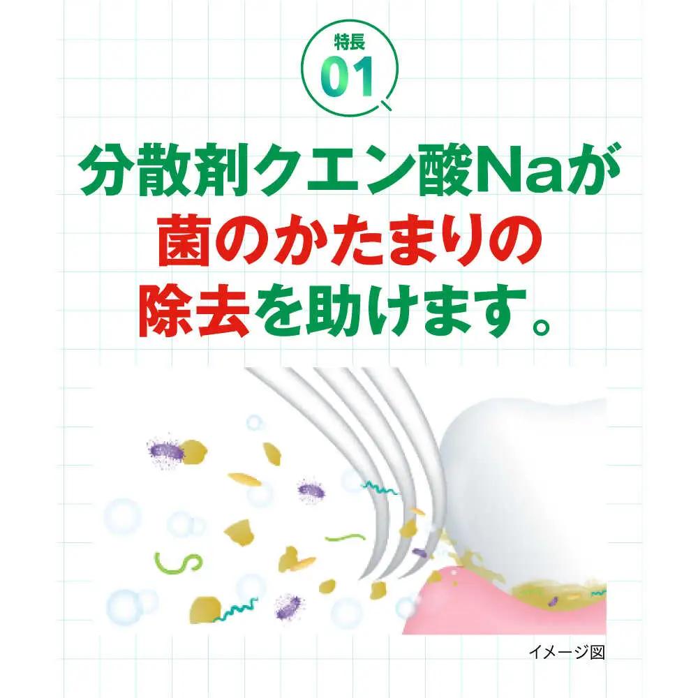 GUM デンタルペースト(ST) 120g×48本[AOAD011] 歯磨き粉