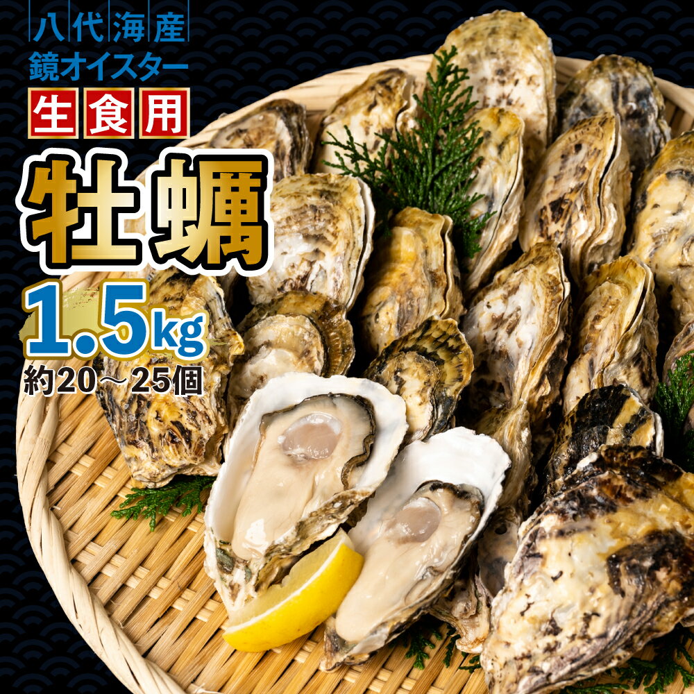 【ふるさと納税】【先行予約】 牡蠣 鏡オイスター 生食用 1.5kg オイスター 生かき 新鮮 おつまみ BBQ 送料無料 【2025年12月中旬より順次発送】