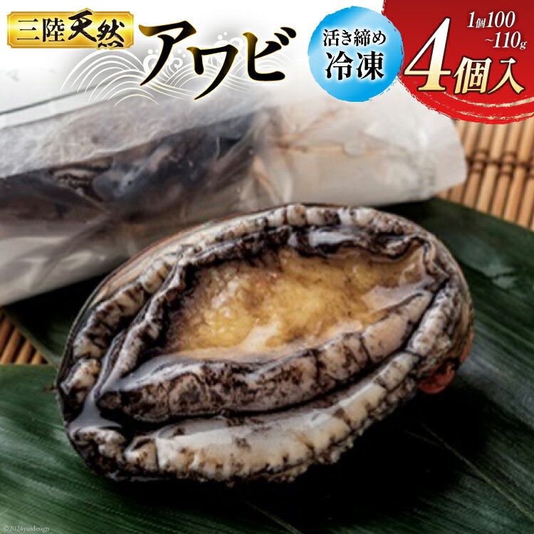 【ふるさと納税】海鮮 魚介 専門問屋が送る 三陸 天然 アワビ (4個入) [マルヤ五洋水産 宮城県 南三陸町 30al0001] あわび 鮑 蝦夷あわび 貝 魚介類 冷凍 刺身 刺し身 活き ステーキ