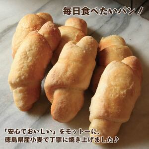 塩パン 塩ロールパン 25個 パン 塩パン パン 塩パン パン 塩パン