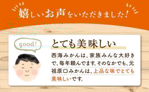 【先行予約】『元祖！』 原口みかん 約5kg ＜原口果樹園＞ [CCW001]  長崎 西海 みかん ミカン 柑橘 贈答 ギフト みかん