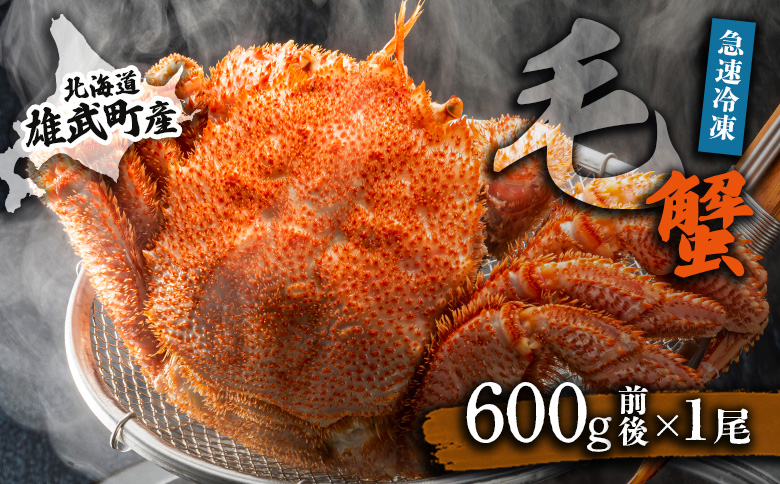 オホーツク産 オホーツク 毛がに 毛ガニ 毛蟹 蟹 カニ 600g 1尾 かに かにみそ カニみそ かに味噌 濃厚 北海道オホーツク産 海産物 海産 海鮮 魚介 魚貝 魚介類 冷凍 ふるさと納税 北海道 雄武町 雄武【12044AA0101】