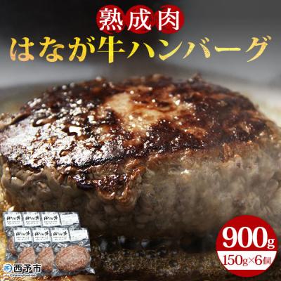 ふるさと納税 西予市 はなが牛100%ハンバーグ