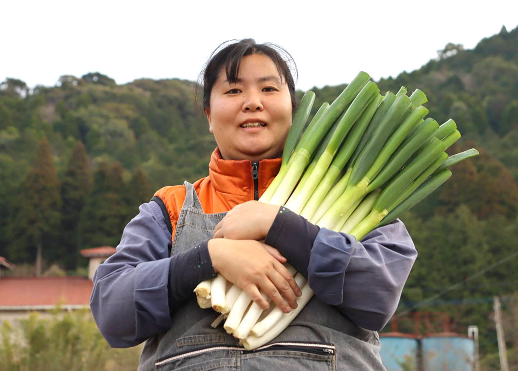 発送時期が選べる！ アグリ福ちゃん 冬野菜セット（5種類）