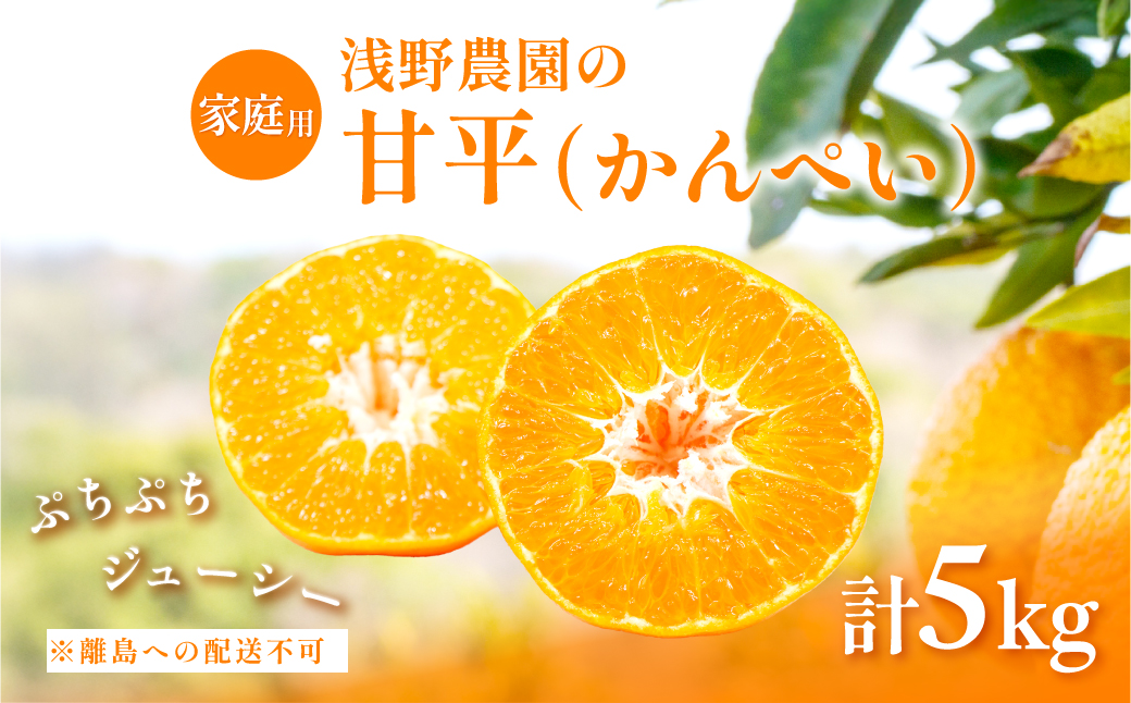 【先行予約】【数量限定】【家庭用】浅野農園の甘平（かんぺい）5kg ※離島への配送不可（2026年2月中旬頃より順次発送予定） IKTAC027