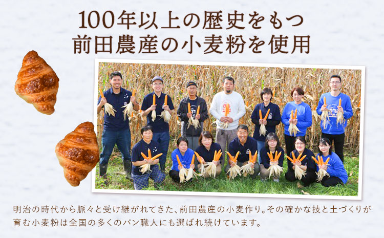 ミニクロワッサン 25個 セット パン ローカルベーカリー《7-14営業日以内に出荷予定(土日祝除く)》急速冷凍 手作り 朝ごはん おやつ 軽食 ランチ 北海道 本別町