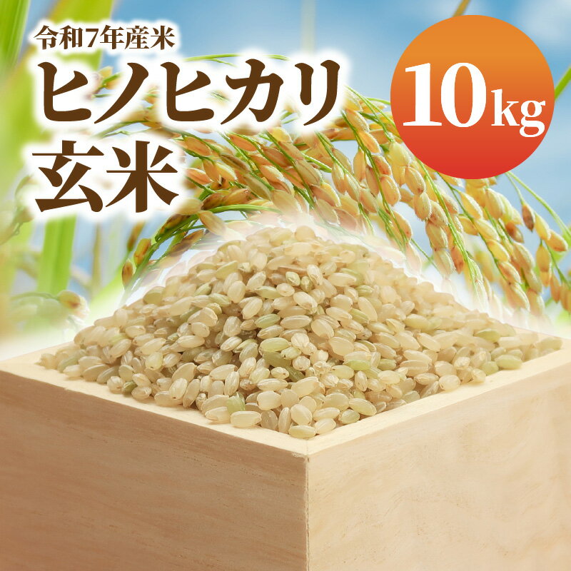 【ふるさと納税】令和7年産 米 玄米 ヒノヒカリ 10kg ふっくら 美味しい 艶 香り 弾力 あっさり 甘み 食べごたえ 噛みごたえ 冷めても美味しい お米 おにぎり ご飯 和食 チャーハン 丼 弁当 お取り寄せ 宮崎県 延岡市 送料無料