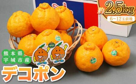 【2026年2月下旬～5月中旬頃順次発送予定】熊本県宇城市産 デコポン 4L～Sサイズ 約2.5kg 