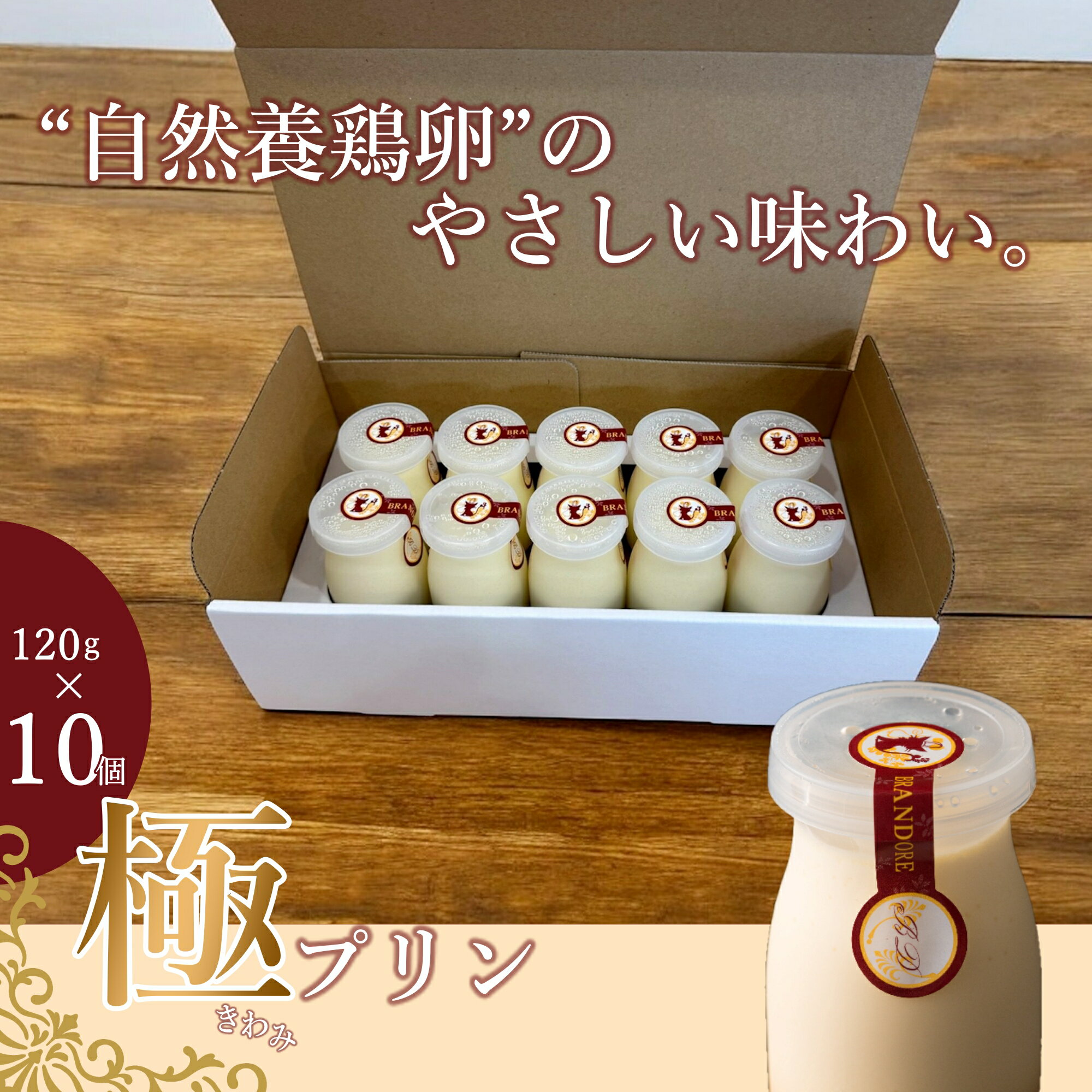 【ふるさと納税】ブランドォレの長井極みプリン10個_E144