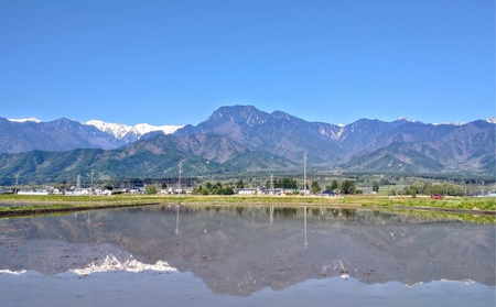 【令和8年産先行予約】コシヒカリ 玄米 約10kg | ニチカ農園