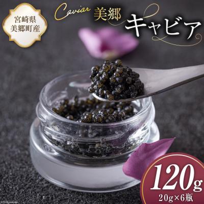 ふるさと納税 美郷町 美郷 キャビア チョウザメ 120g 宮崎キャビア 宮崎県 美郷町 きんかん [31az0018]