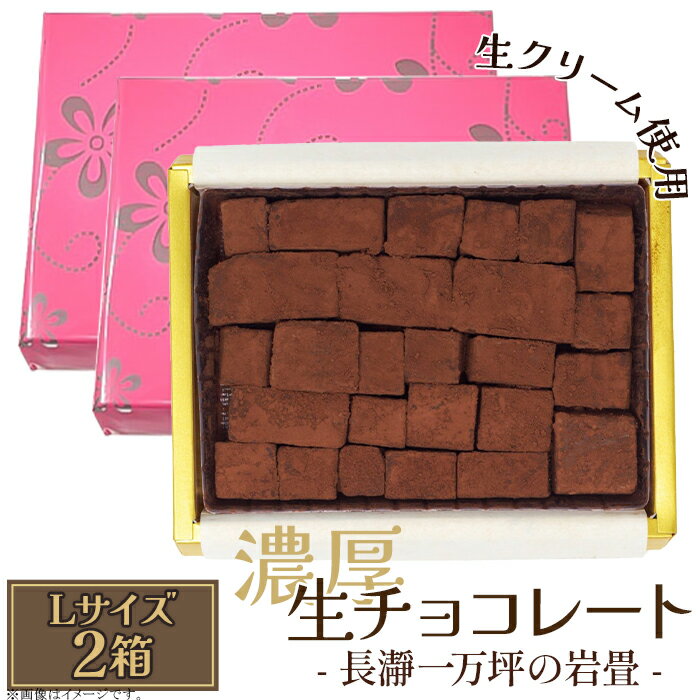 【ふるさと納税】生チョコレート 生クリーム カカオ 濃厚 とろける 急速冷凍 プレゼント ギフト 贈り物 名物 名産 送料無料 生チョコレート Lサイズ 2箱「長瀞一万坪の岩畳」約189g