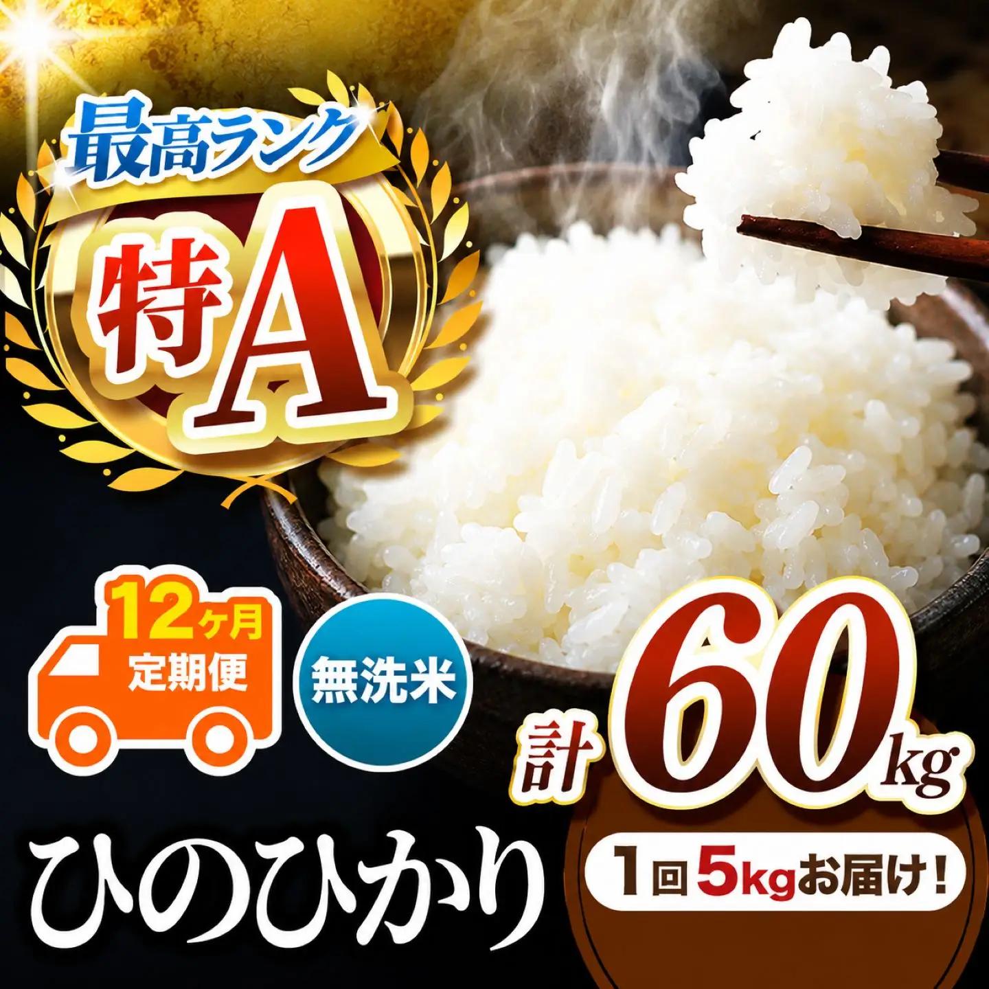【 定期便 12回 】 R7年産 熊本県産 無洗米 ひのひかり 5kg