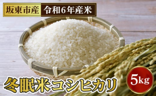 No.763 「令和6年産」冬眠米コシヒカリ　5kg ／ お米 コメ 甘み ツヤ 茨城県 特産品