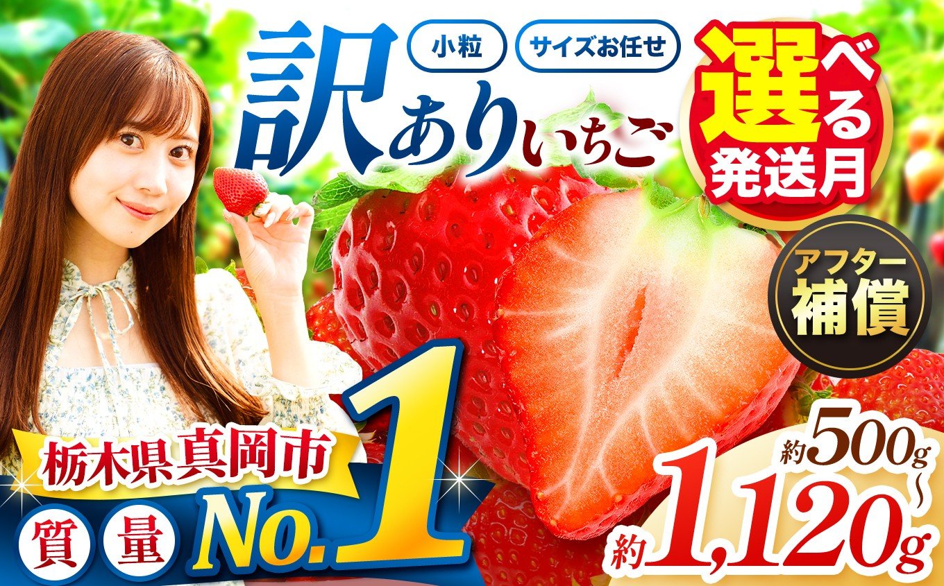 
                   訳あり 小粒 とちあいか 発送月・容量が選べる いちご | 1月 2月 3月 4月 おいしい 訳あり | 生産量 日本一 果物 フルーツ 苺 イチゴ 2026年分  栃木県 真岡市 送料無料
                