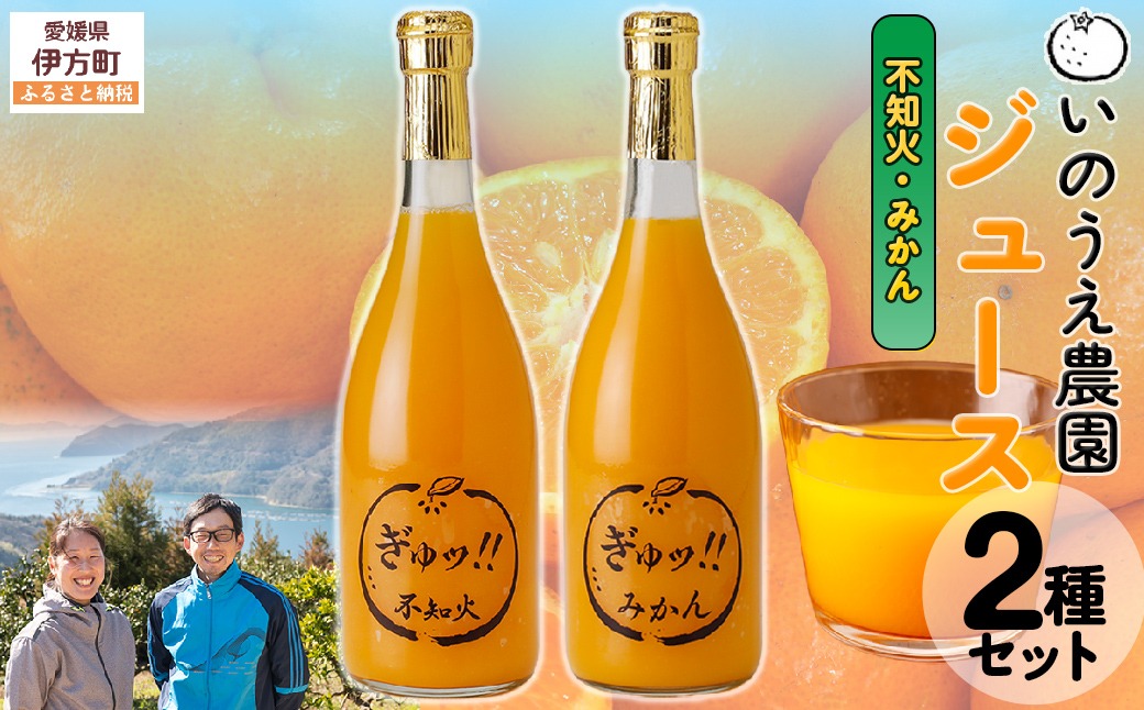 いのうえ農園 ジュース2種セット（不知火/みかん）※離島への配送不可 IKTAI018
