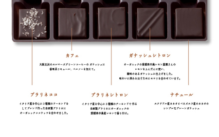 【le fleuve】チョコレート10種 トラディション10