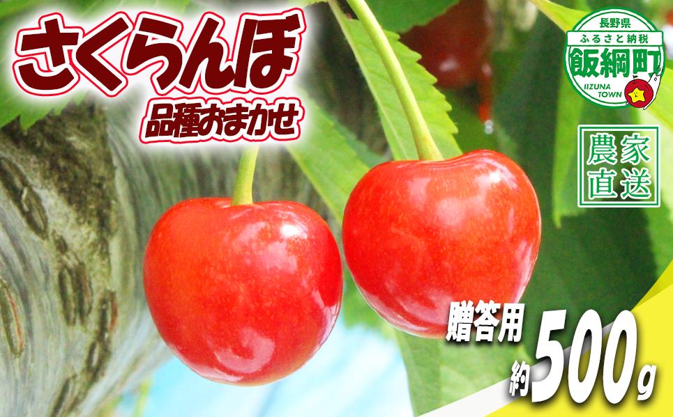 
                  【 贈答品 冷蔵便 朝採り 当日発送 】 さくらんぼ 500g 贈答パック （ 品種おまかせ ）増田ファーム 配送先は本州限定 2026年6月中旬〜2026年7月上旬まで順次発送予定 チェリー サクランボ ギフト 長野県 飯綱町 [2077]
                