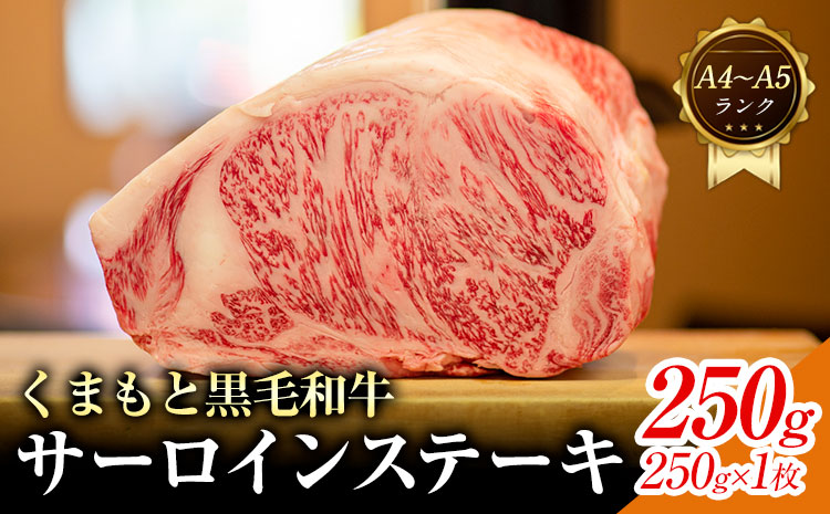 【A4〜A5】くまもと 黒毛和牛 サーロイン ステーキ 250g 《30日以内に出荷予定(土日祝除く)》熊本県 大津町 黒毛和牛 肉 お肉 和牛 牛 牛肉 A5 A4 小分け MEAT PLUS