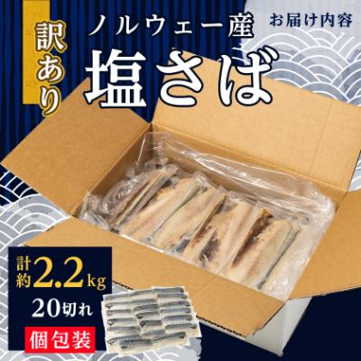 ふるさと納税 館山市 【訳あり】塩さば 20切れ 約2.2kg(個包装) |  | 03