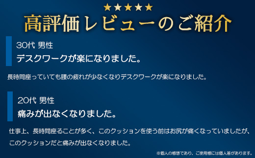 【ふるさと納税限定】エアウィーヴ キャリークッションmini | airweave おすすめ エアウィーブ air weave 洗える 洗濯可能 蒸れにくい クッション 座布団 ざぶとん 椅子 固定 