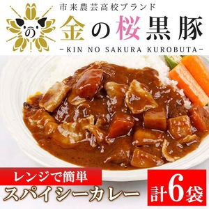 レンジでチン！金の桜黒豚 6食入り「スパイシー カレー 1.2kg（200g×6袋）」 常温保存 国産 の レトルト カレー  袋のまま レンチン お手軽  おとも【A-1122H】