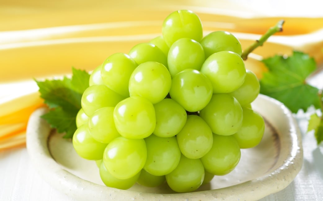 【2026年8月下旬～11月下旬発送予定】岡山県産 シャインマスカット 晴王 約1kg（500g×2房）