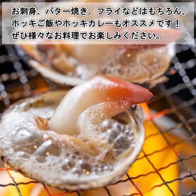 ふるさと納税 新ひだか町 北海道産活ホッキ貝 15個(殻付き) |  | 03