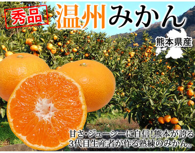 先行予約 みかん 秀品 10kg【2026年10月上旬～2027年1月下旬までに発送予定】柑橘 フルーツ 果物 くだもの 贈答用 ギフト