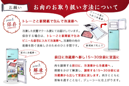 宮崎牛切り落とし600g - (都城市) 国産黒毛和牛 ブランド牛 牛肉 宮崎牛切落とし肉 300g×2パック 計600グラム 牛丼や炒め物などに 万能 冷凍 国産 九州産 宮崎県産 都城産_AA-8