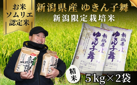 令和7年度産米【お米ソムリエのお米】ゆきん子舞 精米 10kg（5kg×2袋） エバーグリーン農場|米 米 米 米 米