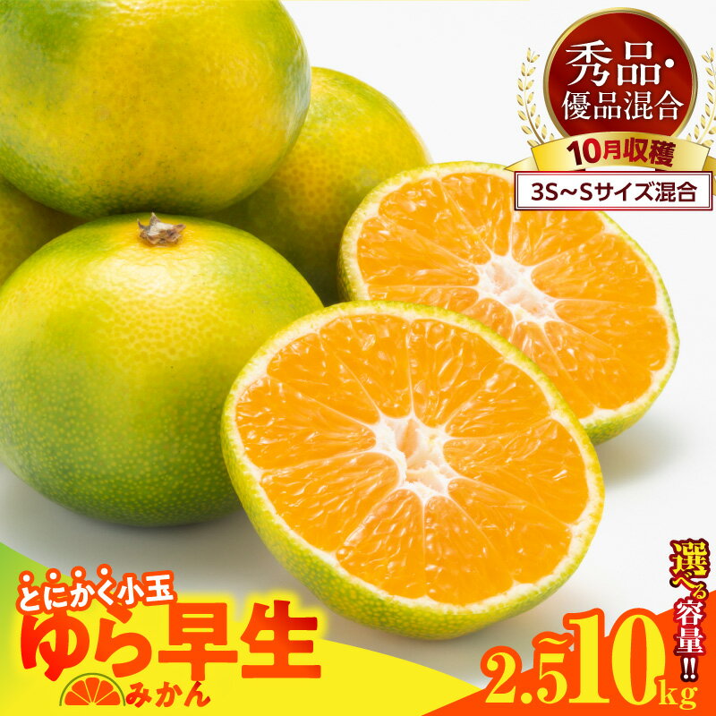 【ふるさと納税】【限定】【2026先行予約】 ゆら早生 みかん 小玉 3S～Sサイズ 秀優混合 選べる 内容量 箱込 2.5kg 〜 10kg 有田みかん 和歌山県産 爽やか 酸味 濃い味わい 秋みかん 糖度 高い みかんの会 フルーツ デザート お取り寄せ 和歌山県 湯浅町 送料無料
