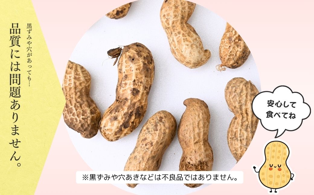 龍ケ崎産殻付き落花生 千葉半立900g(180g×5袋) | 落花生 ピーナッツ ピーナツ ナッツ 国産 殻付き おやつ お菓子 おつまみ お取り寄せ ヘルシー 健康 国産 茨城 特産品 農園 自家栽