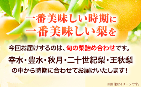 梨 幸水 豊水 約2kg 5~7玉 青空市きらり《8月中旬から12月中旬頃に出荷予定》岡山県 矢掛町 なし 幸水梨 豊水梨 あきづき 二十世紀梨 王秋梨 お中元 梨