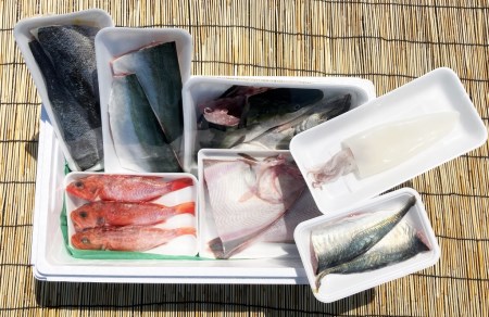 OM-39　みくりや季節の鮮魚セット（下処理済み）